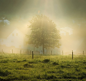 ddos压力测试平台