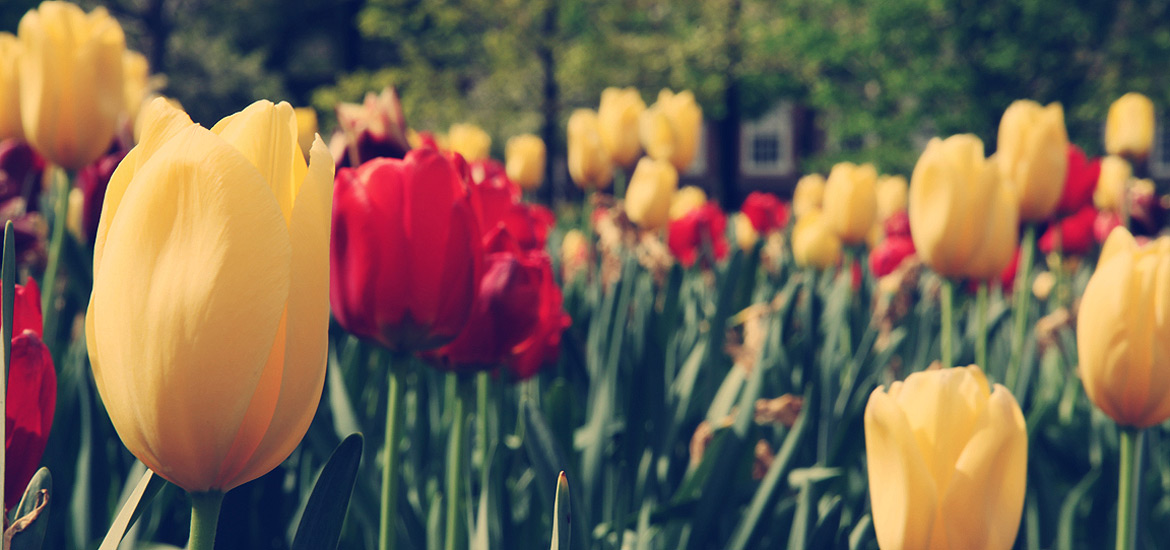 网页攻击器教程